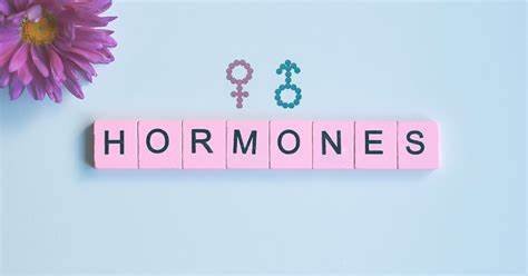 Understanding the Role of Hormones in Body Wellness